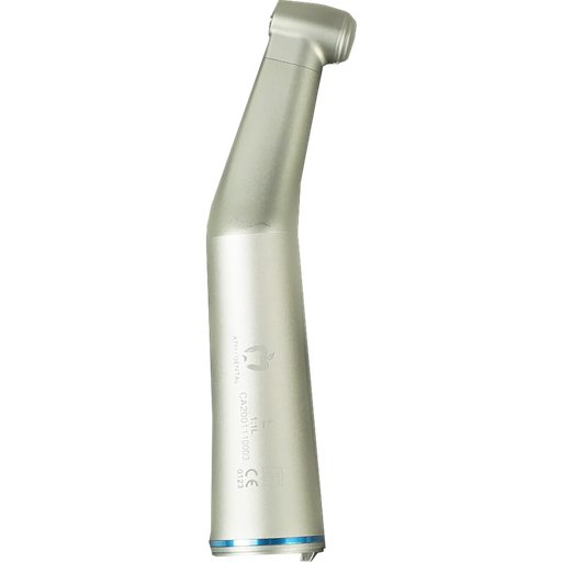 [APP W11L] MANGO INTRA - 1:1 LUX APPLE